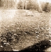 fly-tlr-square-1-of-14