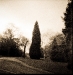 fly-tlr-square-11-of-14
