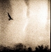 fly-tlr-square-13-of-14