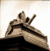 fly-tlr-square-5-of-14