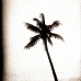 gh-miami-1