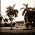 gh-miami-3
