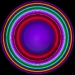 2-3e0v6046_edited-2-67.jpg