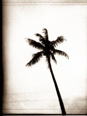 gh-miami-1