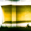 diana-12-gate-fuji-rms-3-of-4.jpg