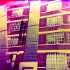 pink-holga-xpro-4-of-4_0.jpg