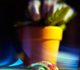 holga-close-up-11-of-15