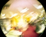 img-2008-holga-47.jpg