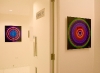 in-situ-10.jpg