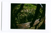 jays-instax-14-of-25