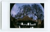 jays-instax-22-of-25