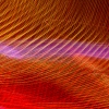 3e0v5545-54.jpg