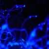 blue-lucy-5062677-8.jpg