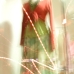 fashion-dummy-5085236-36.jpg