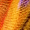 myriads-6035539-50.jpg
