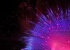 spikey-03744-39.jpg