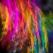 spree-6065406-43.jpg