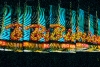 858226-r1-001-00-181.jpg