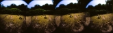 panorama-7-2-of-8