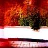 pink-holga-fuji-rms-6-of-11.jpg