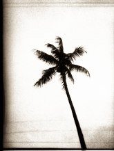 black-and-white-10-of-19