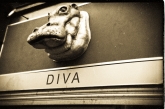 Diva