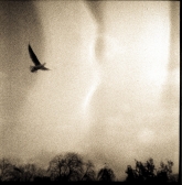 black-and-white-19-of-19