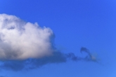 Cloud 007