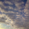 02122008136