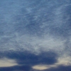 03092008019