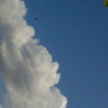 03092008023