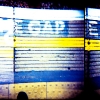 yellow-holga-1-of-4.jpg