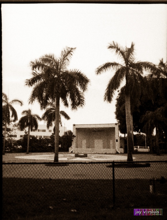 Open Air Stage and Palms