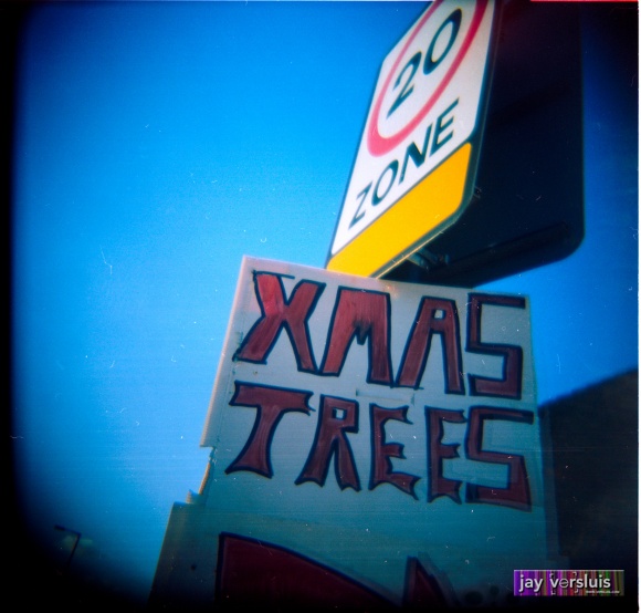 Xmas Trees