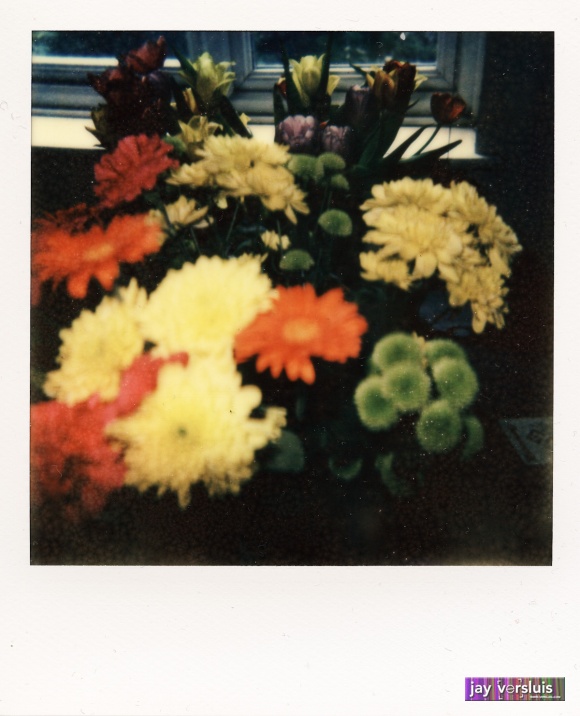 Flowers on PX 680