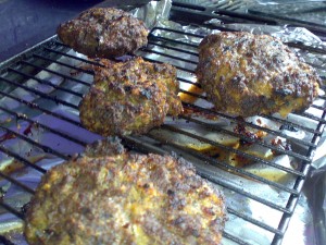 14052009280 Fresh from the grill