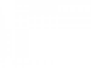 white This is what I saw when I checked my site: NOTHING!