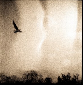 Fly-TLR-square (13 of 14)