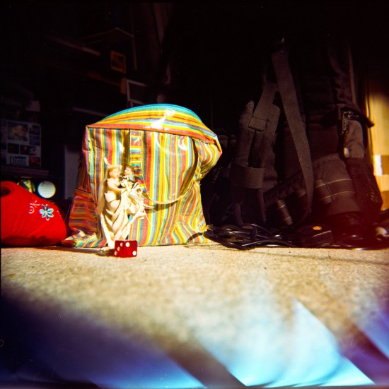 Holga-Close-Up (1 of 15)