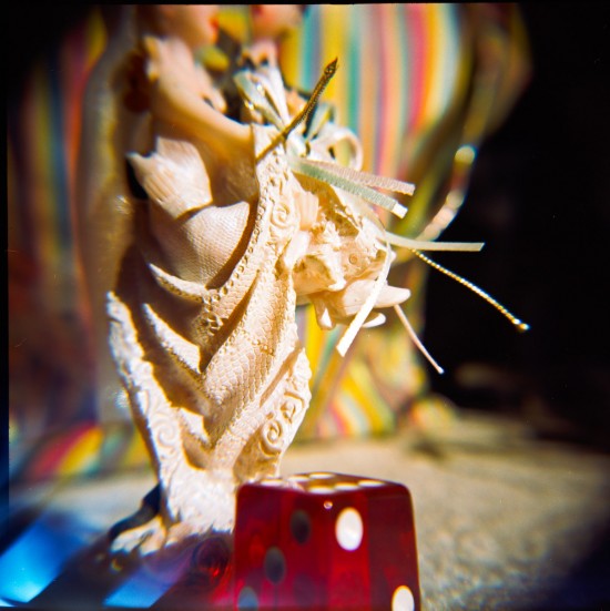 Holga-Close-Up (3 of 15)