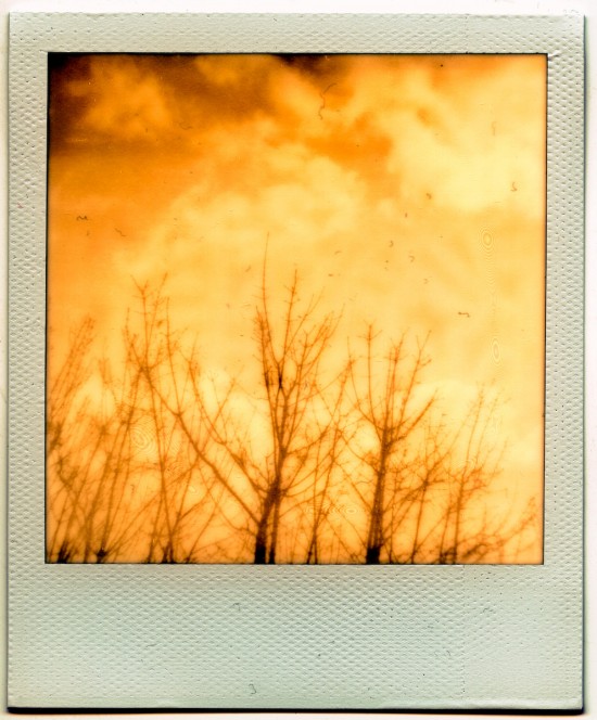 PX100 (3 of 8)