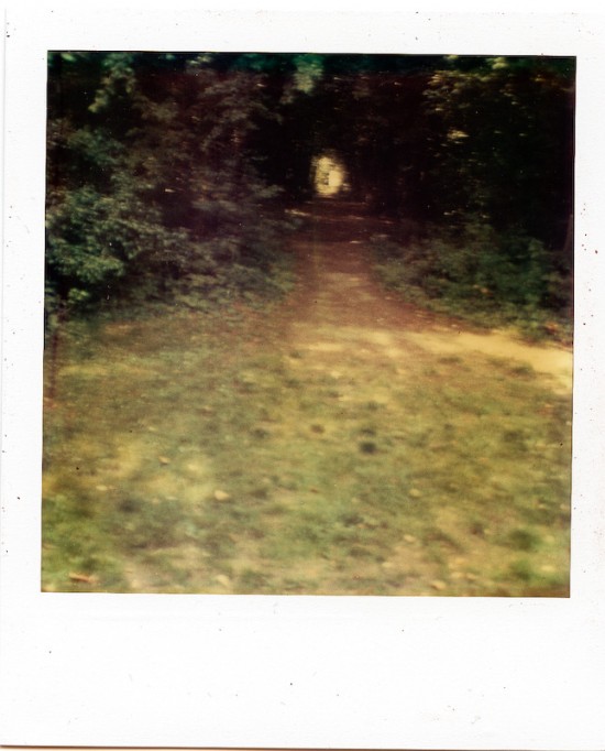 polaroid-artistic-0007