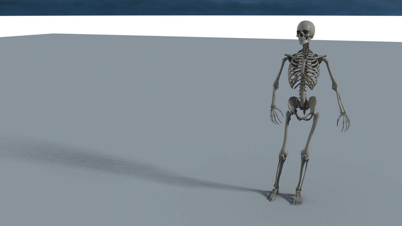 Skeleton-DAZ