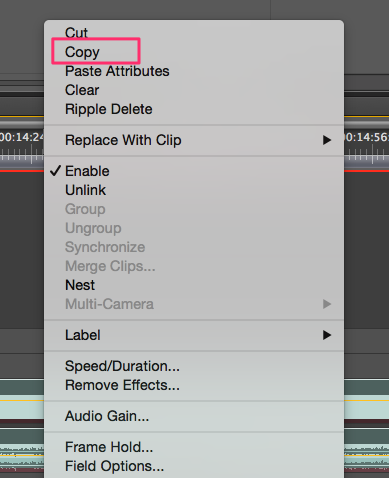 adobe premiere pro copy effects from one clip to another