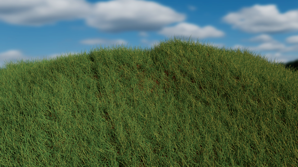 How grow grass on a in Blender – JAY VERSLUIS