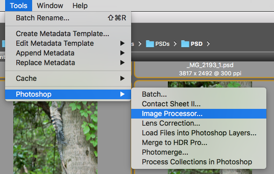 how to you batch convert nef to jpg in photoshop how to you batch convert nef to jpg in photoshop